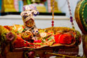 Lord Shree Krishna